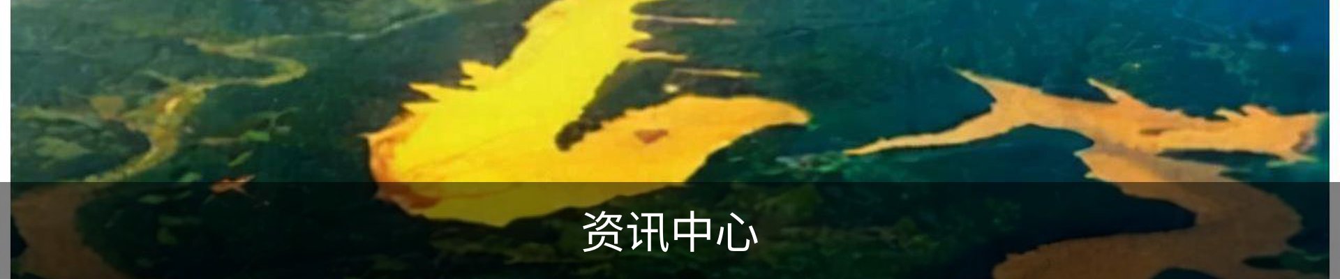 资讯中心